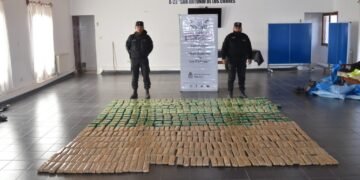 La Policía secuestró más de 150 kilos de hojas de coca