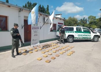 Enviaron 53 kilos de marihuana en encomiendas. La carga salió de Orán