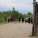 Cinco gendarmes fueron imputados por el homicidio de un bagallero alcanzado por un escopetazo