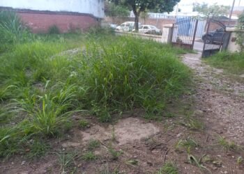 Vecinos reclaman por la limpieza en el Concejo Deliberante