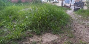 Vecinos reclaman por la limpieza en el Concejo Deliberante