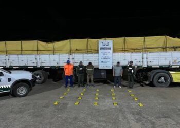 Traficaba 20 kilos de cocaína en un cargamento de soja