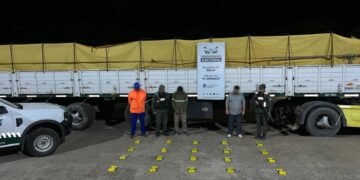 Traficaba 20 kilos de cocaína en un cargamento de soja