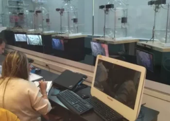 Se realizará hoy el sorteo del “Cumplís y Ganás” del IPV