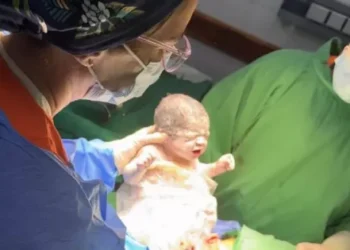 Después de 8 años nacieron trillizos gemelos en Salta