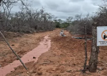 Derrames en pozo petrolero: Se hizo lugar a las medidas cautelares solicitadas por la Fiscal de Pichanal