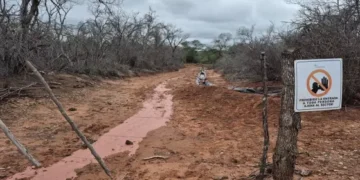 Derrames en pozo petrolero: Se hizo lugar a las medidas cautelares solicitadas por la Fiscal de Pichanal