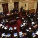 El Senado rechazó el proyecto de ley de Ficha Limpia por un voto