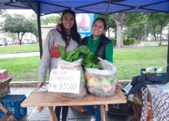 Hoy verdurazo de la UTT, se vende un bolsón económico