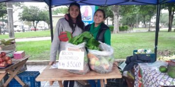 Hoy verdurazo de la UTT, se vende un bolsón económico