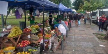 Hoy feriazo de la UTT en Plaza San Martín