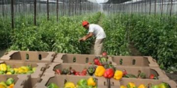 Orán es sede del Seminario Internacional Hortícola