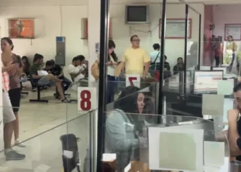 El IPV reanuda la atención al público los martes por la tarde