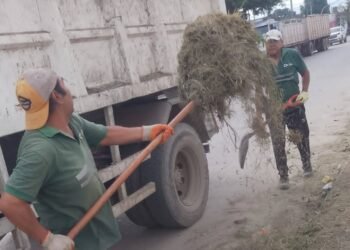 Sigue el trabajo de limpieza en la ciudad