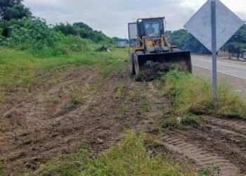 Limpieza de las banquinas en los accesos a Orán