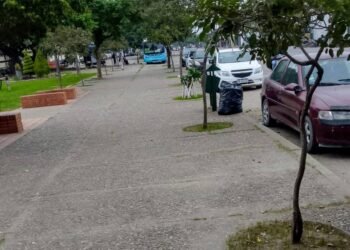 Trabajos de limpieza en el Barrio Osvaldo Pos