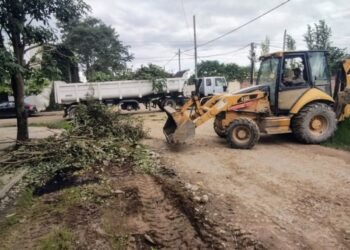 Trabajos de limpieza en el Barrio 20 de Febrero