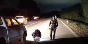 Imputaron a un camionero por la muerte del conductor atropellado tras chocar a un animal