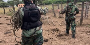 La Policía demoró a dos personas por abigeato y recuperó un animal