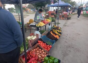 Hoy verdurazo de la UTT en Plaza Santa Marta