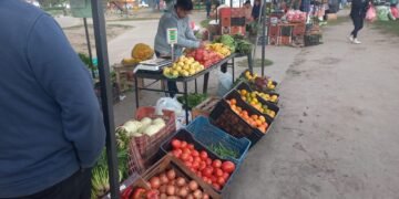 Hoy verdurazo de la UTT en Plaza Santa Marta