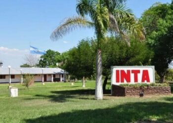 Motosierra en el INTA: despidos encubiertos, amenazas y vaciamiento