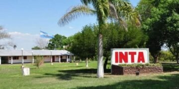 Motosierra en el INTA: despidos encubiertos, amenazas y vaciamiento
