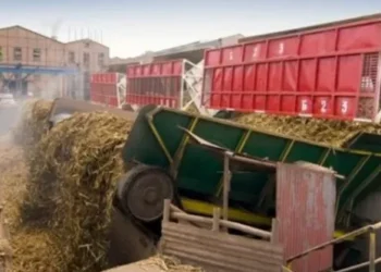 Habrá quita de colaboración en Seaboard