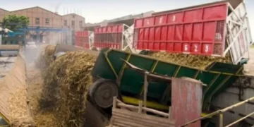 Habrá quita de colaboración en Seaboard