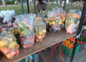 Feriazo de la UTT en Plaza San Martín