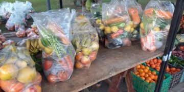 Feriazo de la UTT en Plaza San Martín