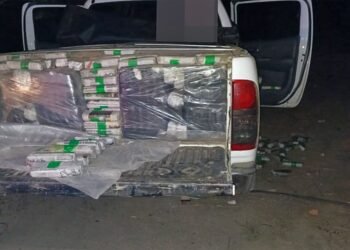 Secuestran más de 1.300 kilos de hojas de coca que salieron de Salta