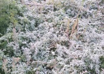 Así amaneció la zona del Río Blanco banda sur