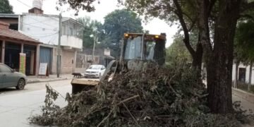 Sigue la limpieza de calles céntricas y en inmediaciones de instituciones públicas