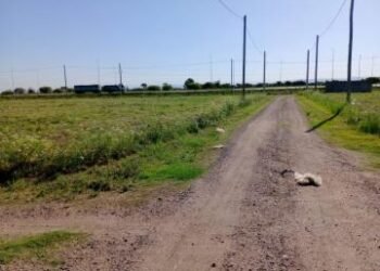 La inscripción para el Loteo Social cerrará el 31 de julio