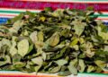 En Bolivia, el precio de la hoja de coca llega a valores récord