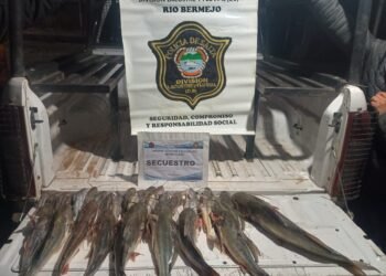 La policía secuestró 28 bagres