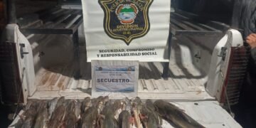 La policía secuestró 28 bagres
