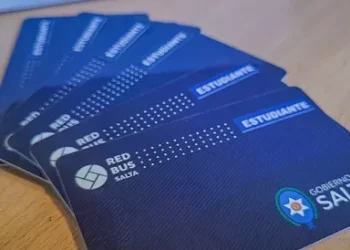 En las vacaciones de invierno no rige el boleto estudiantil gratuito