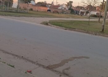 Siguen los caballos sueltos en la ciudad