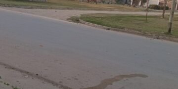 Siguen los caballos sueltos en la ciudad