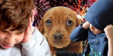 Agosto en Orán con pirotecnia cero