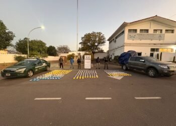 Gendarmería secuestró 309 kilos de cocaína