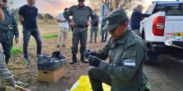 Incautaron un camión con 172 kilos de cocaína