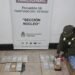 Gendarmería secuestró más de 65 kilos de cocaína