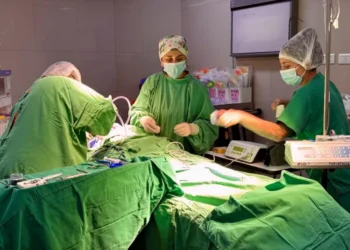 Colocaron implantes auditivos a diez niños en el hospital Materno Infantil