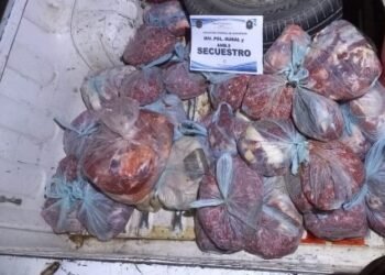 Decomisaron más de 98 kilos de carne no apta para consumo