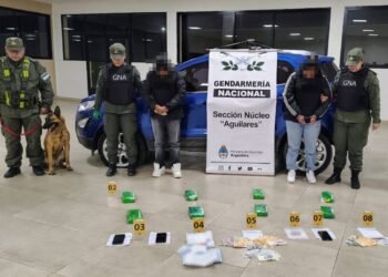 Modificaron el techo de una camioneta para ocultar más de 8 kilos de cocaína