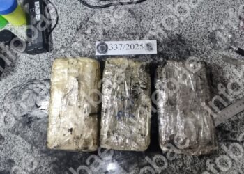 No era droga ni plastilina: reemplazaron la cocaína que iba a ser quemada por un ácido que vale $10 mil el kilo