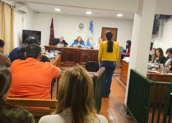 Caso Klimasauskas-Viarengo: El juicio continuará el próximo lunes 25